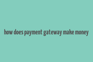 how does payment gateway make money