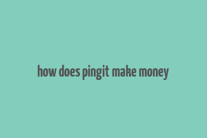 how does pingit make money