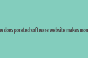 how does porated software website makes money