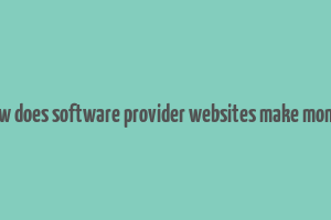 how does software provider websites make money