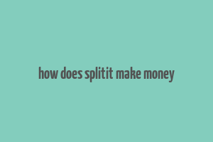 how does splitit make money