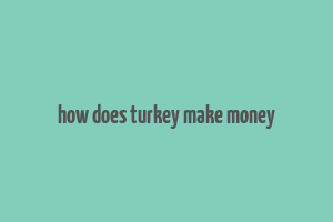 how does turkey make money