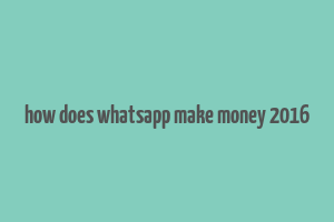 how does whatsapp make money 2016