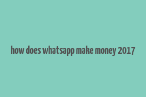 how does whatsapp make money 2017