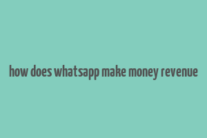 how does whatsapp make money revenue