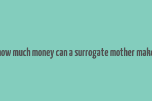 how much money can a surrogate mother make