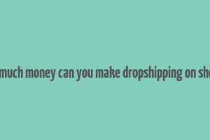 how much money can you make dropshipping on shopify