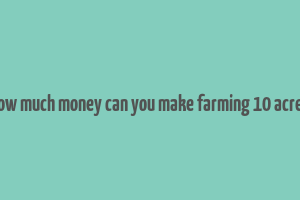 how much money can you make farming 10 acres