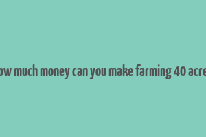 how much money can you make farming 40 acres