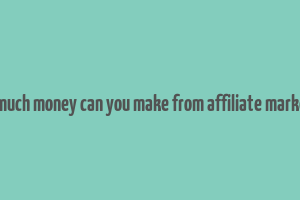 how much money can you make from affiliate marketing