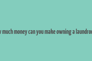 how much money can you make owning a laundromat