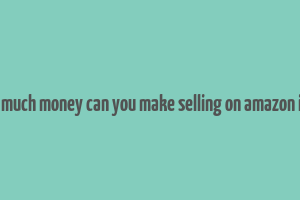 how much money can you make selling on amazon india