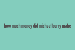 how much money did michael burry make