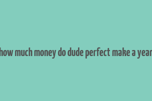 how much money do dude perfect make a year