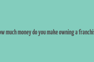 how much money do you make owning a franchise