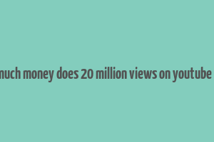 how much money does 20 million views on youtube make