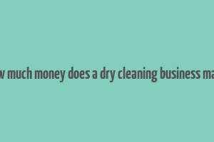 how much money does a dry cleaning business make