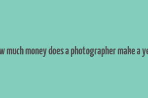 how much money does a photographer make a year