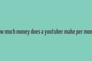 how much money does a youtuber make per month