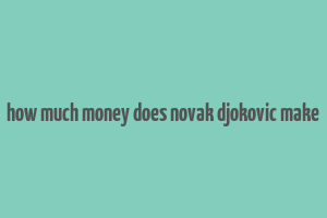 how much money does novak djokovic make