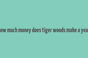 how much money does tiger woods make a year