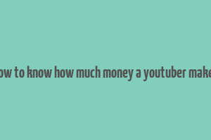 how to know how much money a youtuber makes