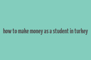 how to make money as a student in turkey