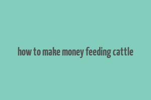 how to make money feeding cattle