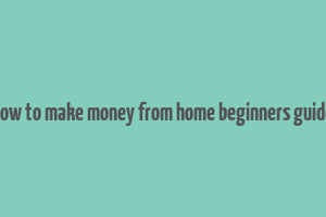 how to make money from home beginners guide