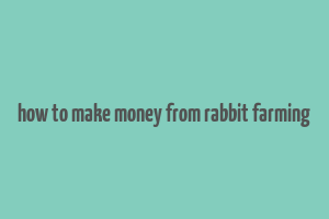 how to make money from rabbit farming