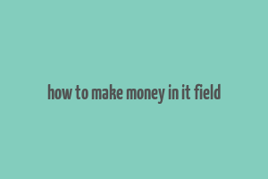 how to make money in it field