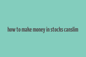 how to make money in stocks canslim