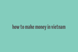 how to make money in vietnam