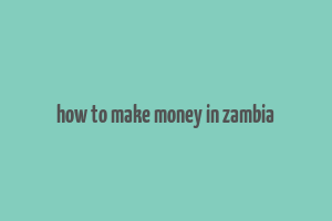 how to make money in zambia