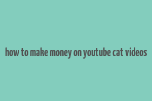 how to make money on youtube cat videos