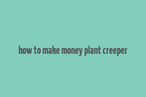 how to make money plant creeper