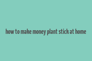 how to make money plant stick at home