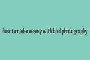 how to make money with bird photography