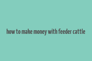 how to make money with feeder cattle