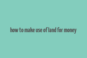 how to make use of land for money