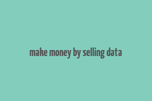 make money by selling data