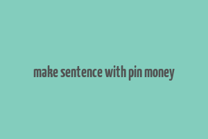 make sentence with pin money