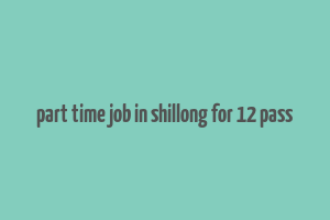 part time job in shillong for 12 pass