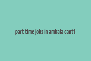 part time jobs in ambala cantt