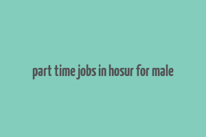 part time jobs in hosur for male