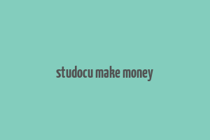 studocu make money