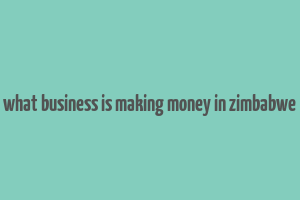 what business is making money in zimbabwe