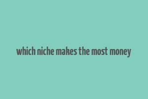 which niche makes the most money