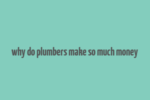 why do plumbers make so much money