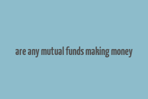 are any mutual funds making money